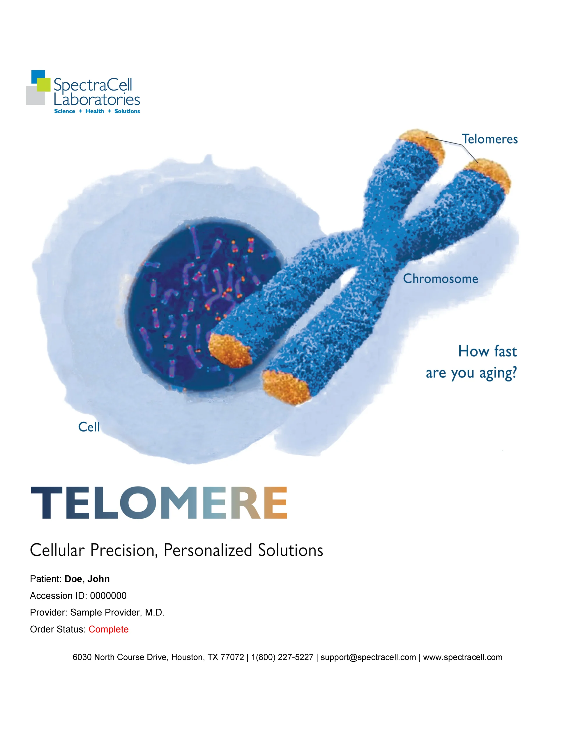 Sample_Report_-_Telomere_Page_1